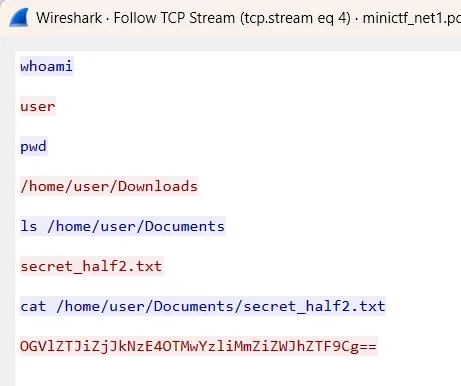 Network1 TCP Stream