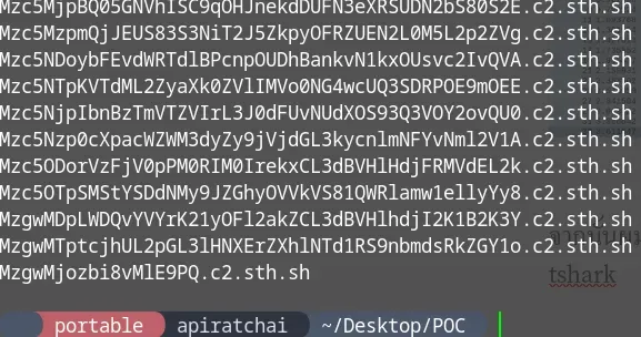 Network3 PCAP File
